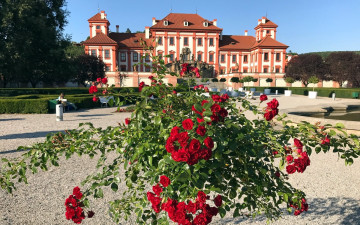 Картинка troja+palace города прага+ Чехия troja palace