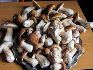 Картинка еда грибы +грибные+блюда боровики