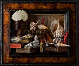 Картинка разное ракушки кораллы декоративные spa камни натюрморт рама книги