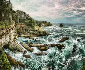 Картинка природа побережье скалы деревья море