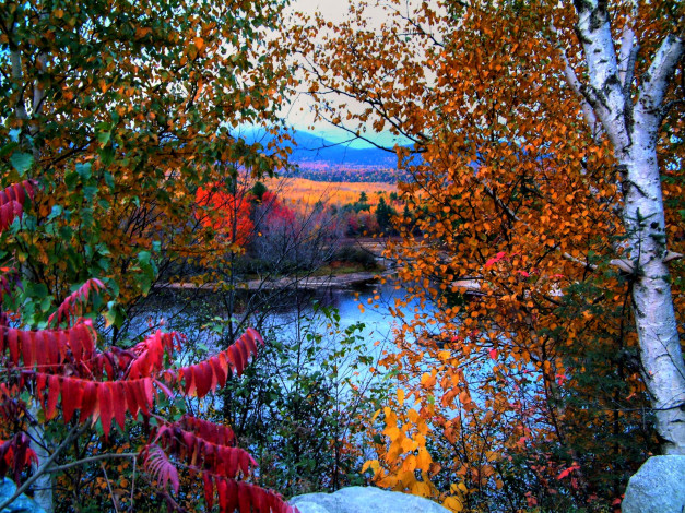 Обои картинки фото природа, реки, озера, деревья, осень, река