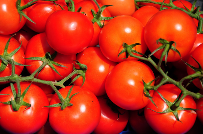 Обои картинки фото еда, помидоры, красный, круглый, веточки, томаты