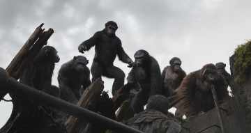Картинка rise+of+the+planet+of+the+apes кино+фильмы персонажи