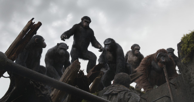 Обои картинки фото rise of the planet of the apes, кино фильмы, персонажи