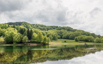 Картинка природа реки озера деревья река отражение