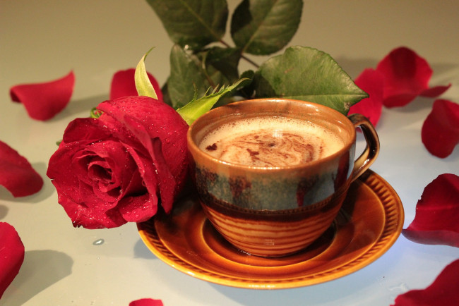 Обои картинки фото еда, кофе,  кофейные зёрна, роза, лепестки