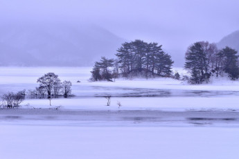 Картинка природа зима кусты деревья озеро лед снег