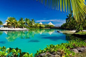Картинка природа тропики tropical лагуна пальмы море sunshine ocean sea paradise beach palms пляж vacation summer
