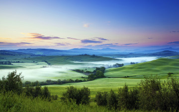 Картинка природа пейзажи деревья туман облака поля