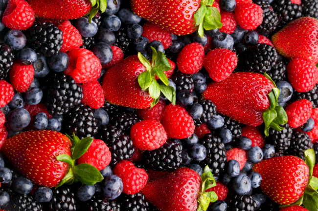 Обои картинки фото еда, фрукты,  ягоды, ягоды, ежевика, голубика, клубника, малина