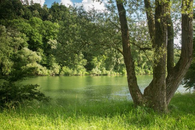 Обои картинки фото природа, реки, озера, лето, лес, германия, бавария, река, трава