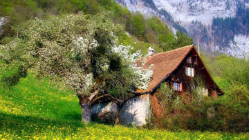 Картинка разное сооружения +постройки весна деревья луг цветущие домик горы