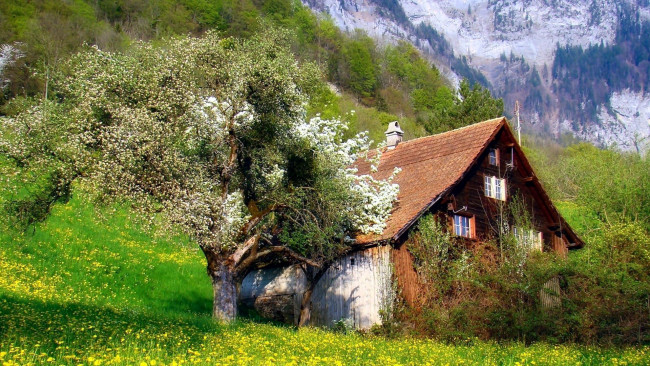 Обои картинки фото разное, сооружения,  постройки, весна, деревья, луг, цветущие, домик, горы