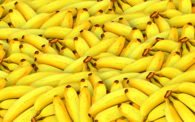 Обои картинки фото еда, бананы, много, тропические, фрукты