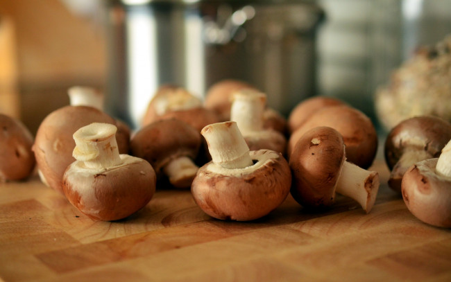 Обои картинки фото еда, грибы,  грибные блюда, шампиньоны