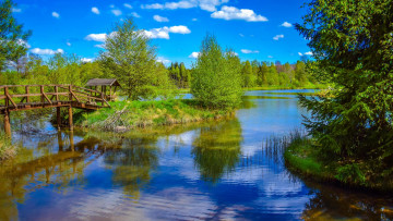 Картинка природа реки озера мостик лес озеро