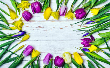 Картинка цветы разные+вместе тюльпаны нарциссы
