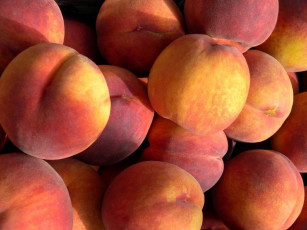 Картинка еда персики сливы абрикосы