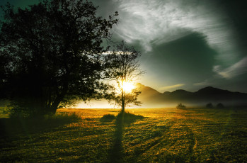 Картинка природа восходы закаты холмы утро туман деревья солнце солнечные лучи