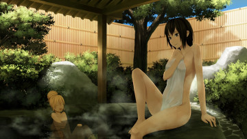 Картинка аниме *unknown другое полотенце горячий источник девушки забор дерево