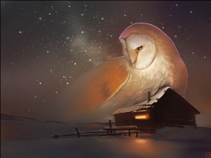 Картинка рисованные животные +птицы сова дом