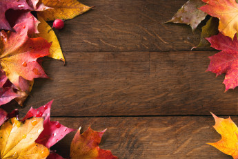 Картинка разное текстуры листья доски