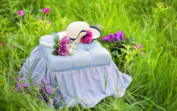 Картинка цветы букеты +композиции природа лето трава пуфик шляпа