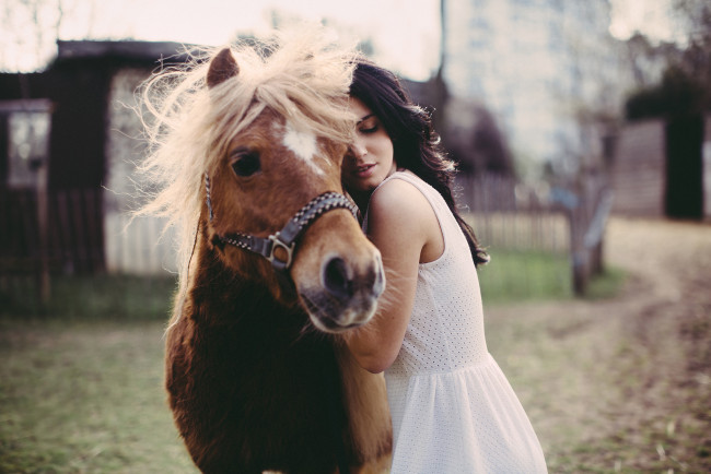 Обои картинки фото девушки, -unsort , брюнетки,  шатенки, конь, лошадь, брюнетка, любовь, пони