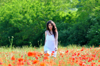 Картинка девушки -unsort+ брюнетки темноволосые девушка шатенка поле цветы маки