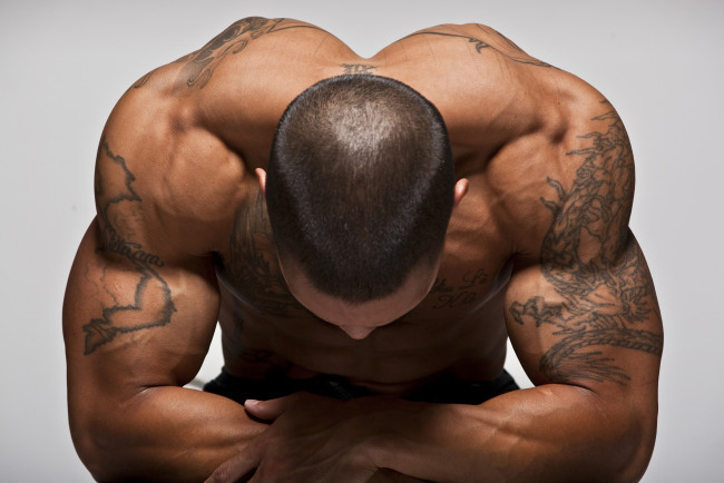 Обои картинки фото мужчины, - unsort, мышцы, тату, загар, рельеф, тело, спина
