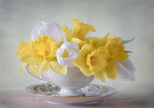 Обои картинки фото цветы, разные вместе, нарциссы, чашка, тюльпаны, букет, тарелка