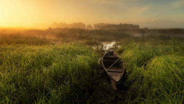 Картинка корабли лодки +шлюпки туман лодка трава