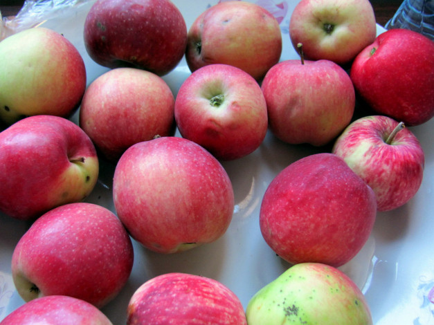 Обои картинки фото еда, яблоки, краснобокие, фрукты