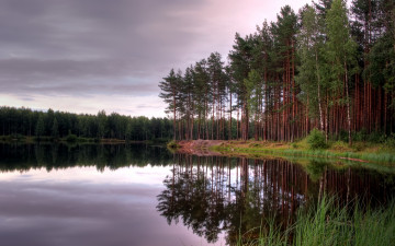 Картинка природа реки озера сосны деревья лес озеро