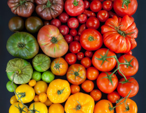 обоя еда, помидоры, разноцветные, томаты