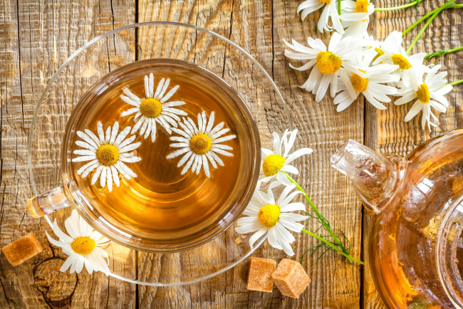 Обои картинки фото еда, напитки,  Чай, tea, блюдце, ромашка, cup, цветок, daisy, flower, drink, напиток, чашка, чай
