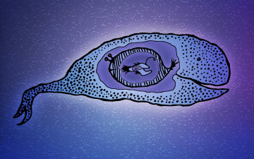 Картинка рисованное vladstudio нутро кит рыбы