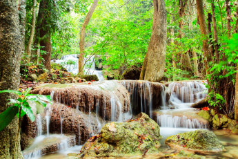 Картинка природа водопады водоем камни деревья