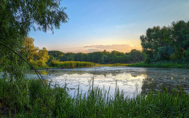 Обои картинки фото природа, реки, озера, заводь, киев, днепр, закат, украина
