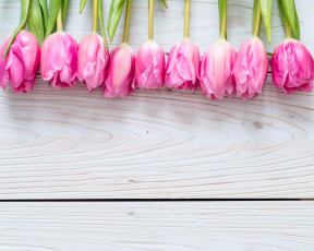 Картинка цветы тюльпаны розовый букет фон