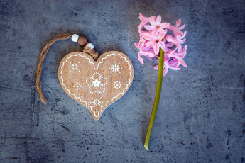 Картинка праздничные день+святого+валентина +сердечки +любовь сердечко гиацинт