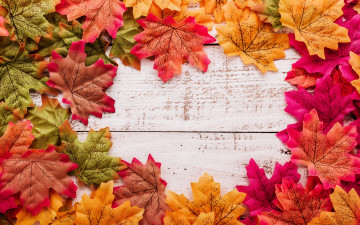 Картинка разное ремесла +поделки +рукоделие leaves autumn wood background дерево maple осенние фон листья осень