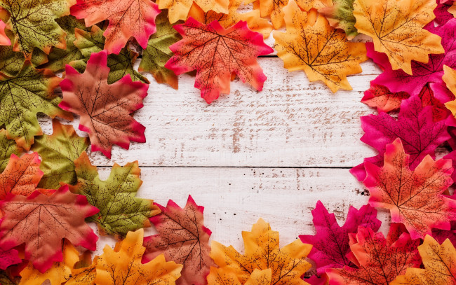 Обои картинки фото разное, ремесла,  поделки,  рукоделие, leaves, autumn, wood, background, дерево, maple, осенние, фон, листья, осень