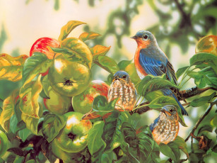 Картинка рисованные jane ramsey janene grende певчие птицы на ветках яблони