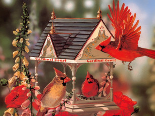 Картинка рисованные janene grende кормушка для птиц красный кардинал