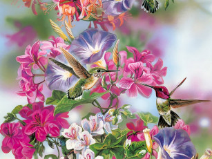 Картинка рисованные janene grende нектарницы и цветы