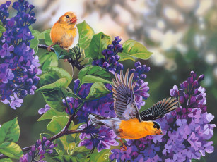 Картинка рисованные janene grende певчие птицы на ветках сирени