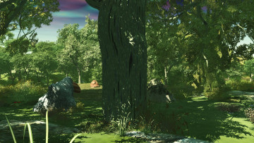 Картинка 3д+графика природа+ nature лес деревья