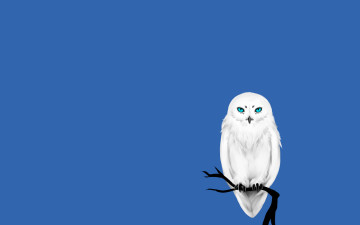 Картинка рисованное минимализм птица owl синий фон дерево сова ветка белая