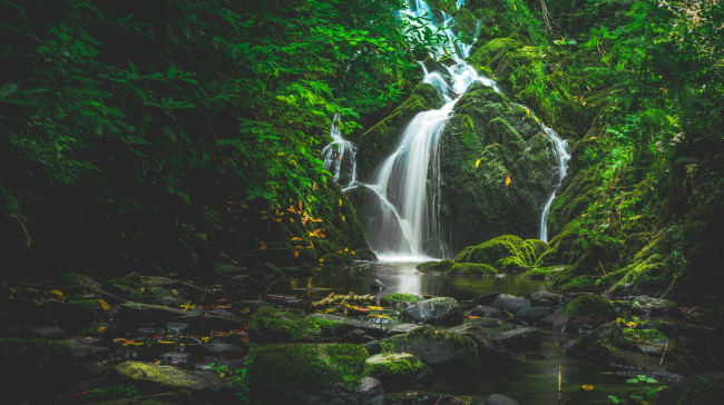 Обои картинки фото природа, водопады, вода, зелень, поток, водопад